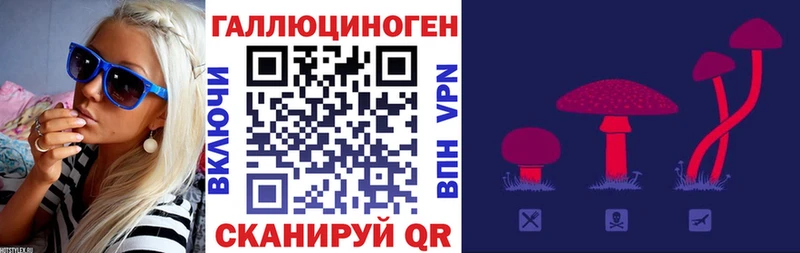 сколько стоит  Западная Двина  кракен ТОР  Галлюциногенные грибы Cubensis 